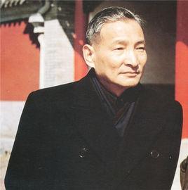 只有小学文凭, 入党五年就进入中央高层, 为何他能升迁这么快?
