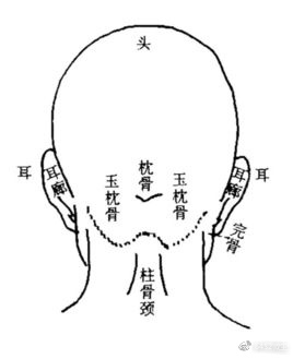 后脑勺反骨面相 这种面相最常出人才