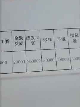 财务部经理年薪工资条, 网友: 这收入简直没谁了