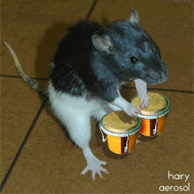 搞笑:自从有了女友,胆大了不少