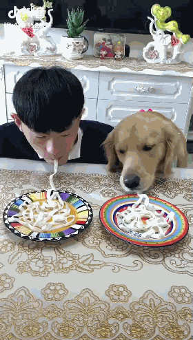 吃不完不要勉强,本汪来帮你哦!金毛狗狗:主人不要浪费