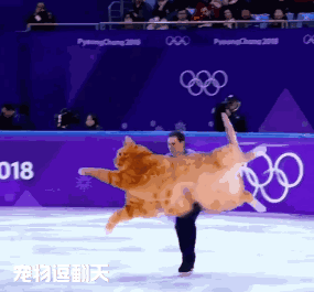 橘猫成花样滑冰舞者,各种高难度舞步信手拈来,网友:毫无违和感