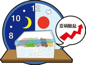 剩菜到底能不能吃？