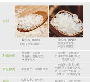 你真的会焖米饭吗？——教你如何焖出香喷喷的米