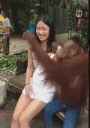 猴子跟人一起合照,引来路人围观,让单身狗羡慕不已!