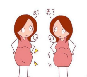孕期计算器, 告诉你怎样计算宝宝是男是女!
