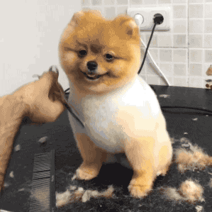 大冬天的,这样牵着孩子果然亲妈 (以上图片均来源于网络)感谢您能看到