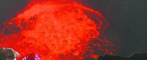 侣行系列第四季完美结束了，不要着急，很快第五季就要来了