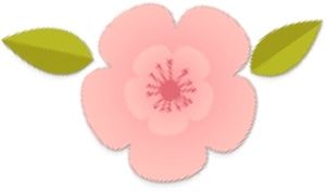 玩法上海樱花节来了，奉上N条宝山赏樱之旅线路！