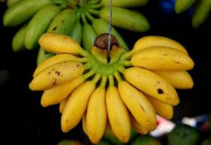 香蕉的5大种类,适合哪些人吃?你知道吗?如果都