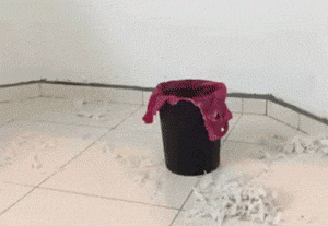 猫把垃圾桶打翻, 弄得满地纸巾, 主人为了让它长点记性, 罚它打扫