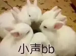 韩国元祖男神胖到200斤后怒甩60斤！减肥后竟帅回颜值巅峰