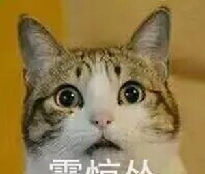 这一些表情包有开心,震惊,疑问,吐槽等各种情绪,相信你会在其中挑选到