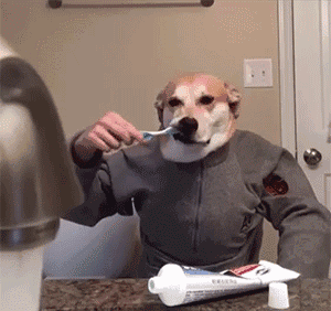 口腔健康关乎全身心,可你知道怎么选牙膏么?