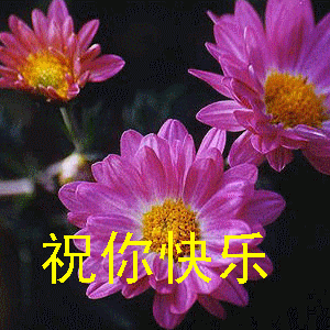 我用真心换你真心