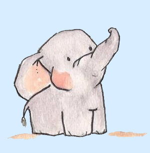 小象要趁早