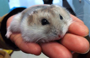 超搞笑gif:这妹子也太机智了点!逢凶化吉啊!