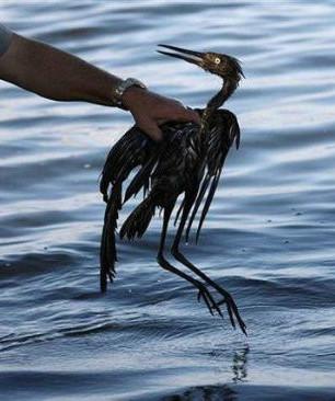 环境污染最让人心酸的10个画面,地球母亲在流