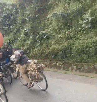 搞笑gif:我就想知道,这是哪个游乐场,这么任性