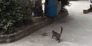 搞笑趣图:这个雪人有点费油啊