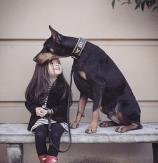 来自西雅图的小女孩和她的杜宾犬