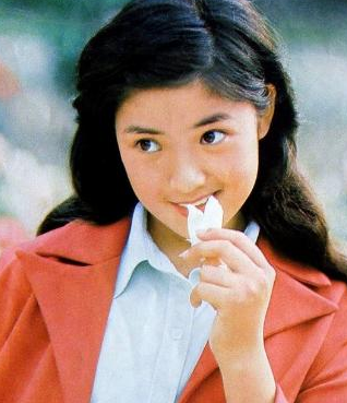 八十年代红极一时,可以进来看看这篇文章|任冶湘|荧屏|田晓霞_新浪