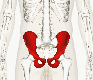 张天爱只有160CM凭什么敢吹成168CM?身高造假竟然都能圈粉