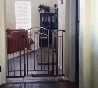 搞笑GIF圖：大爺跟群主要紅包，竟拿出磚頭