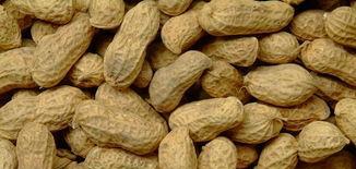 老公哥嫂经常来我家送土产,知道真相,我怒提离