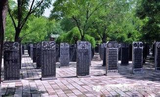 山西洪洞县的这棵大槐树下，曾迁出869个姓氏，全世界繁衍近2亿人