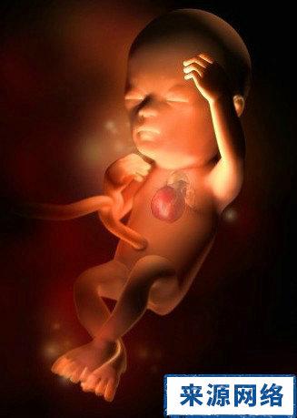 胎儿每周发育过程图(图集)生命之伟大 让人叹为观止