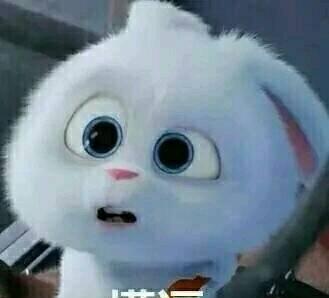 爱宠大机密 赵丽颖同款兔子表情包和高清图