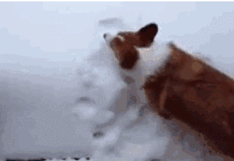 搞笑段子:雪花分为三种,一种勇闯天涯,一种纯生,一种原汁麦