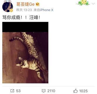 怪不得小苹果喜欢后妈! 葛荟婕怒怼章子怡, 国