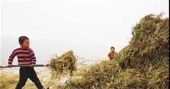 你是不是地道莱州人，进来试试就知道！