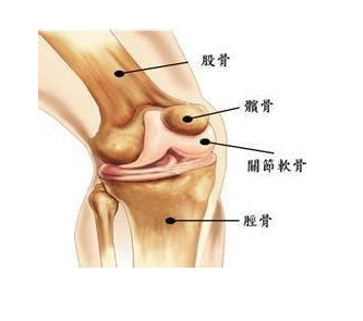 中医小方法治疗膝关节滑膜炎,只要这样做1个星