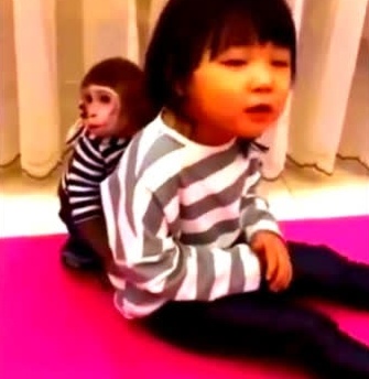 小猴子吃了小女孩的女孩,女生用眼生秒杀它,让的美女零食图片