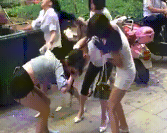 他们有的是学霸,有的是学渣,有的是屌丝,有的是富二代,有的是混混.