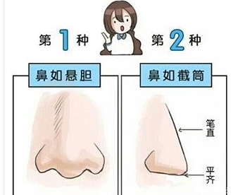 天生富贵的鼻型