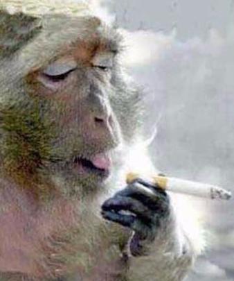 妹纸对我说天津安徽湖南江西，啥意思啊，秒懂的来