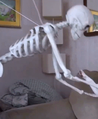 爱吃骨头的狗遇到骷髅人,结果出现这样搞笑的一幕!