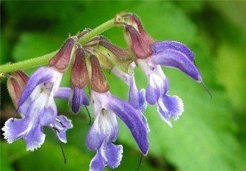 为何荨麻疹午后和夜间加重?老中医出高招,简