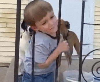 家里有个熊孩子, 花式捣蛋吓哭家长: 我怕是上辈子毁灭了银河系!