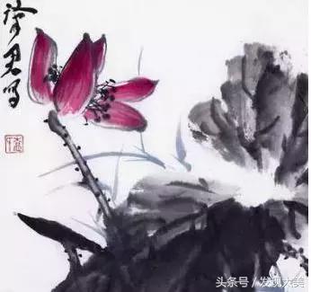出淤泥而不染的荷花，国画欣赏