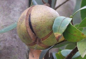 湿疹并不可怕,郎中一秘方,轻松去5年湿疹,用一