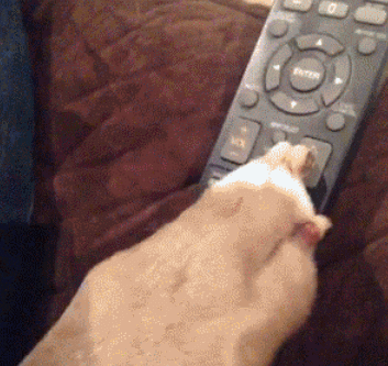 大哥,你的装扮也太奇葩了,被嫂子看到非离婚不可