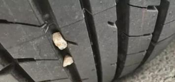 汽车轮胎这样保养才能延长使用寿命
