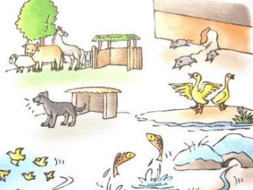 古人竟然这样解释地震的征兆 是科学还是无稽之谈?