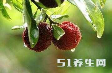 望梅止渴是什么原理?很多人或许理解错了