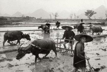 20世纪末, 一位德国人来中国工厂当厂长, 他的